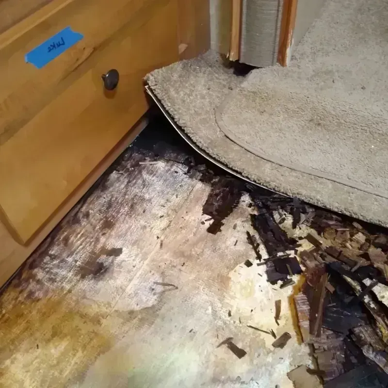 Best Wood Floor Water Damage Service in Cape Girardeau, MO